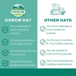 Oxbow Orchard Grass Hay Small Animal Food -MiniMates Shop 96064 PT8. AC SS1800 V1661823895