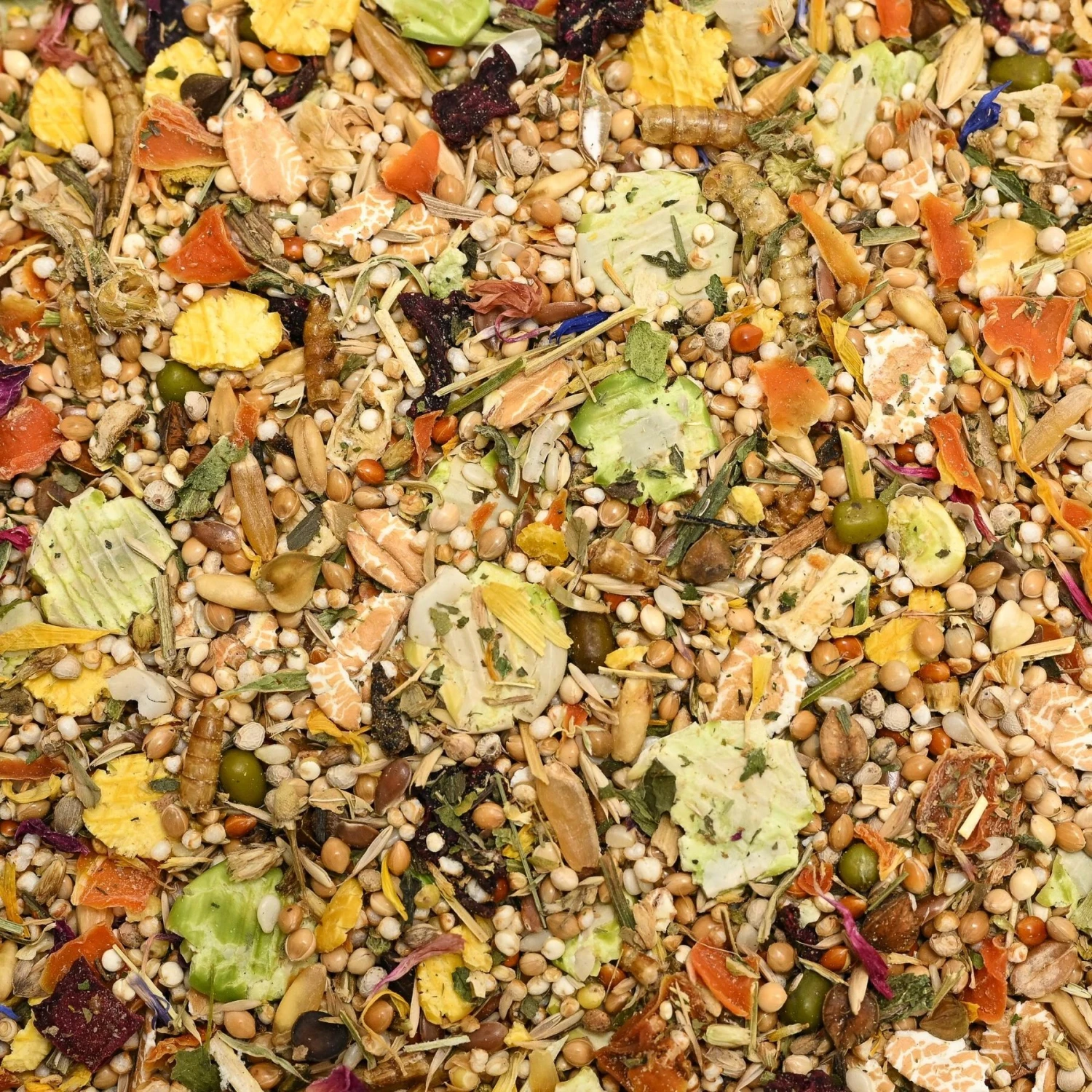 Bunny Nature DwarfHamsterDream Expert Flower Dwarf Hamster Food, 1.1-lb Bag 5 Bunny Nature DwarfHamsterDream Expert Flower Dwarf Hamster Food, 1.1-lb Bag - Image 5