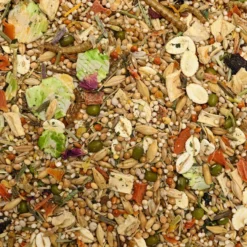 Bunny Nature DwarfHamsterDream Expert Dwarf Hamster Food, 1.1-lb Bag -MiniMates Shop 960734 PT4. AC SS1800 V1695051899