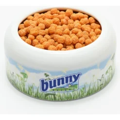 Bunny Nature Crispy Snack Carrots Rabbit & Hamster Treats, 0.9-oz Tub -MiniMates Shop 960766 PT3. AC SS1800 V1695051897