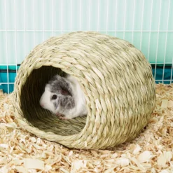 Oxbow Timothy Club Bungalow Small Animal Hideout -MiniMates Shop 96129 PT7. AC SS1800 V1518538075