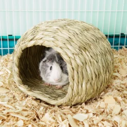 Oxbow Timothy Club Bungalow Small Animal Hideout -MiniMates Shop 96129 PT8. AC SS1800 V1518538085