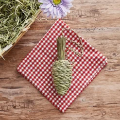 Oxbow Timothy Club Carrot Small Animal Treat 6 Oxbow Timothy Club Carrot Small Animal Treat -MiniMates Shop 96134 PT7. AC SS1800 V1523283274