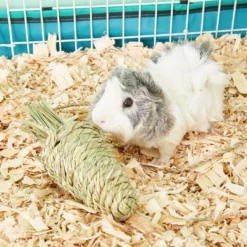 Oxbow Timothy Club Carrot Small Animal Treat 7 Oxbow Timothy Club Carrot Small Animal Treat -MiniMates Shop 96134 PT8. AC SS1800 V1518538095