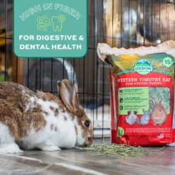 Oxbow Animal Health Western Timothy Hay All Natural Hay For Rabbits, Guinea Pigs, Chinchillas, Hamsters & Gerbils -MiniMates Shop 96167 PT6. AC SS1800 V1661823599