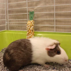 Vitakraft Crunch Sticks Grain & Honey Chewable Guinea Pig Treats, 2-pack -MiniMates Shop 96264 PT5. AC SS1800 V1666652233