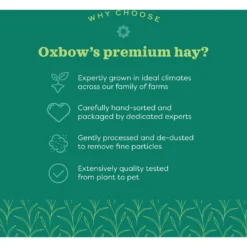 Oxbow Hay Blends Western Timothy & Orchard Hay Small Pet Food, 15-oz Bag 14 Oxbow Hay Blends Western Timothy & Orchard Hay Small Pet Food, 15-oz Bag -MiniMates Shop 969110 PT5. AC SS1800 V1696618912