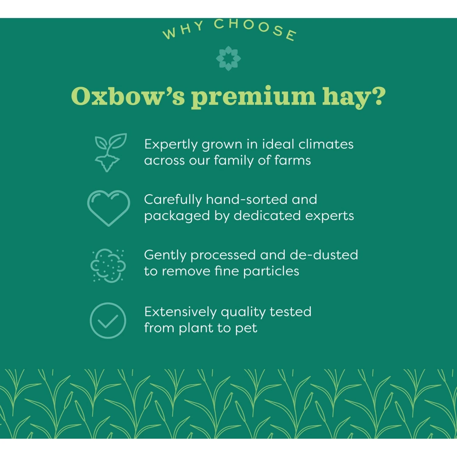 Oxbow Hay Blends Western Timothy & Orchard Hay Small Pet Food, 15-oz Bag 6 Oxbow Hay Blends Western Timothy & Orchard Hay Small Pet Food, 15-oz Bag - Image 6