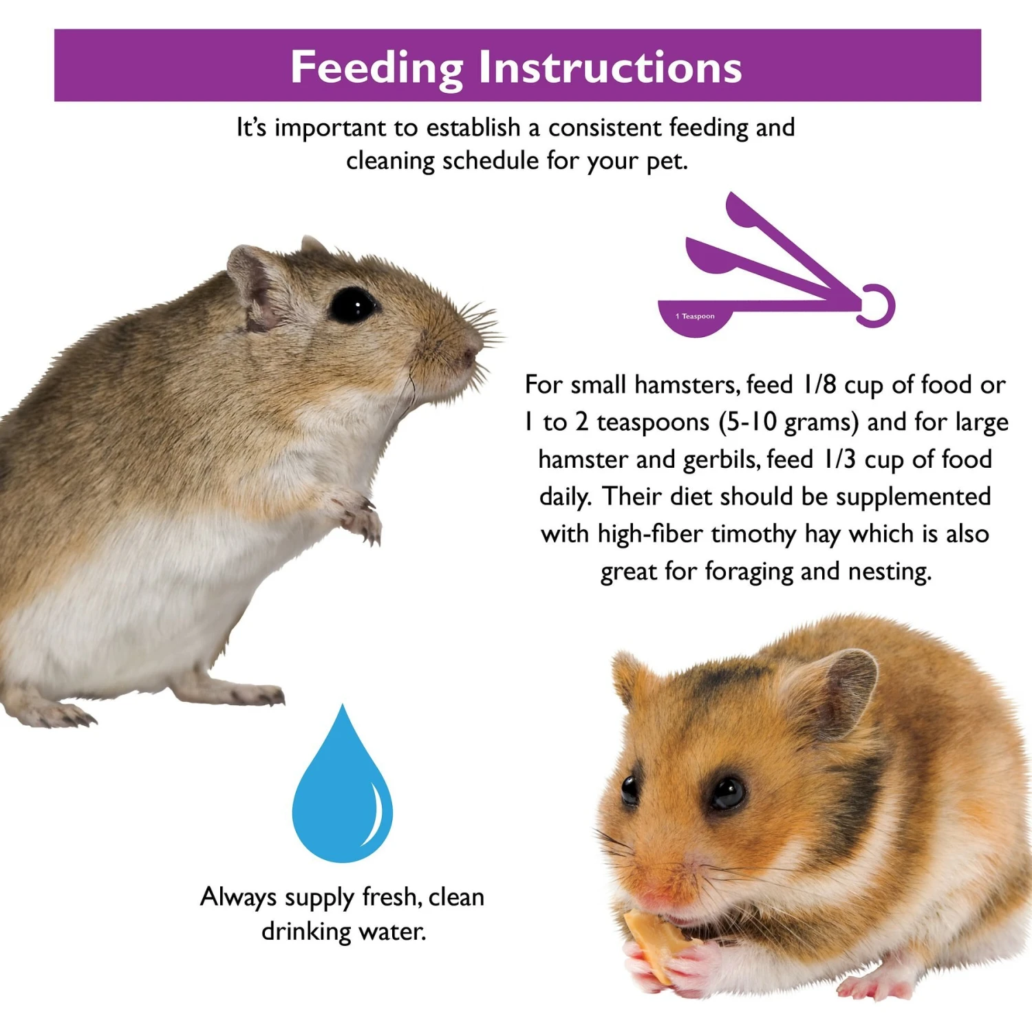 Brown's Tropical Carnival Gourmet Gerbil & Hamster Food 7 Brown's Tropical Carnival Gourmet Gerbil & Hamster Food - Image 7