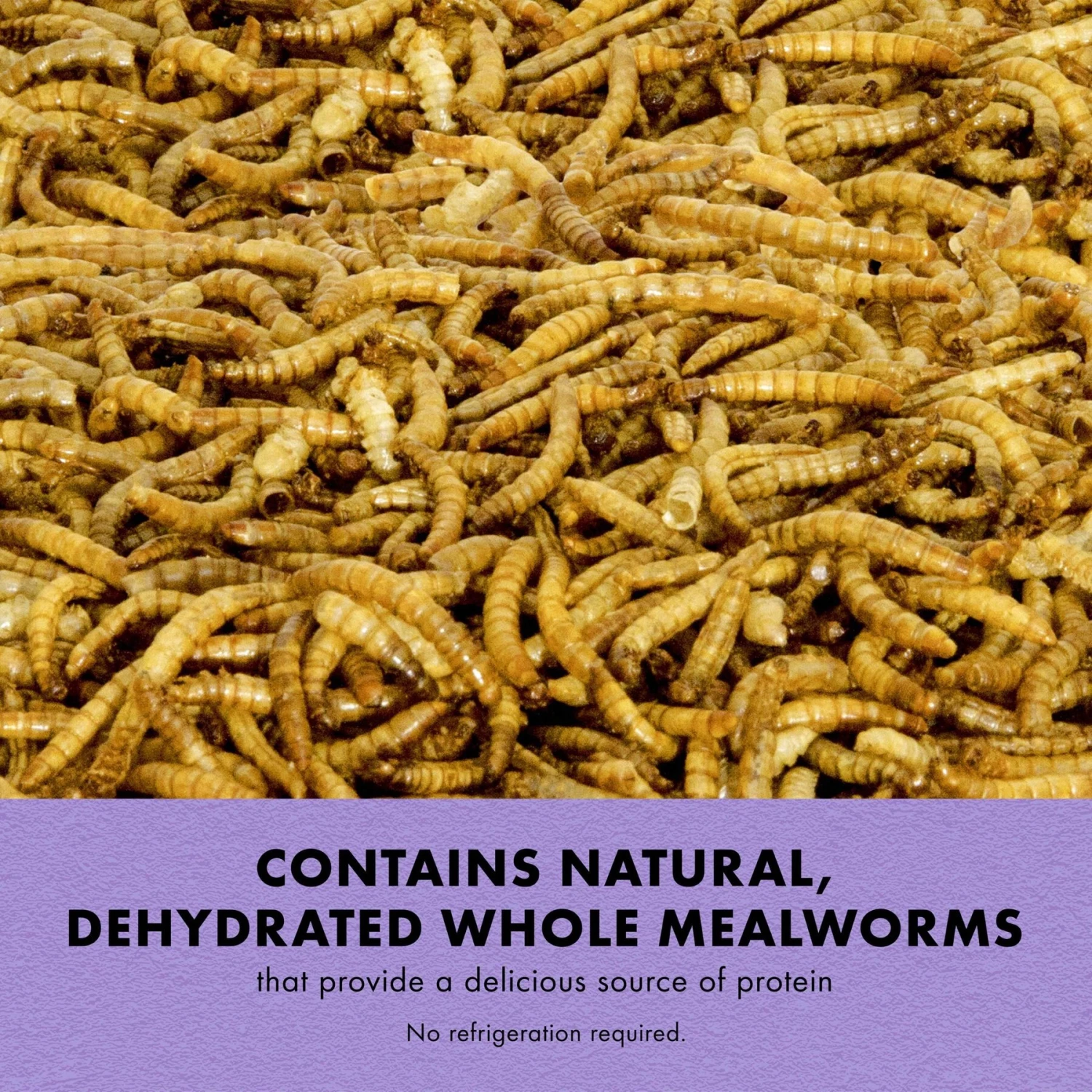 Zilla Reptile Munchies Mealworms Lizard Food 2 Zilla Reptile Munchies Mealworms Lizard Food - Image 2