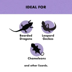 Zilla Reptile Munchies Mealworms Lizard Food 12 Zilla Reptile Munchies Mealworms Lizard Food -MiniMates Shop 97669 PT3. AC SS1800 V1624393652