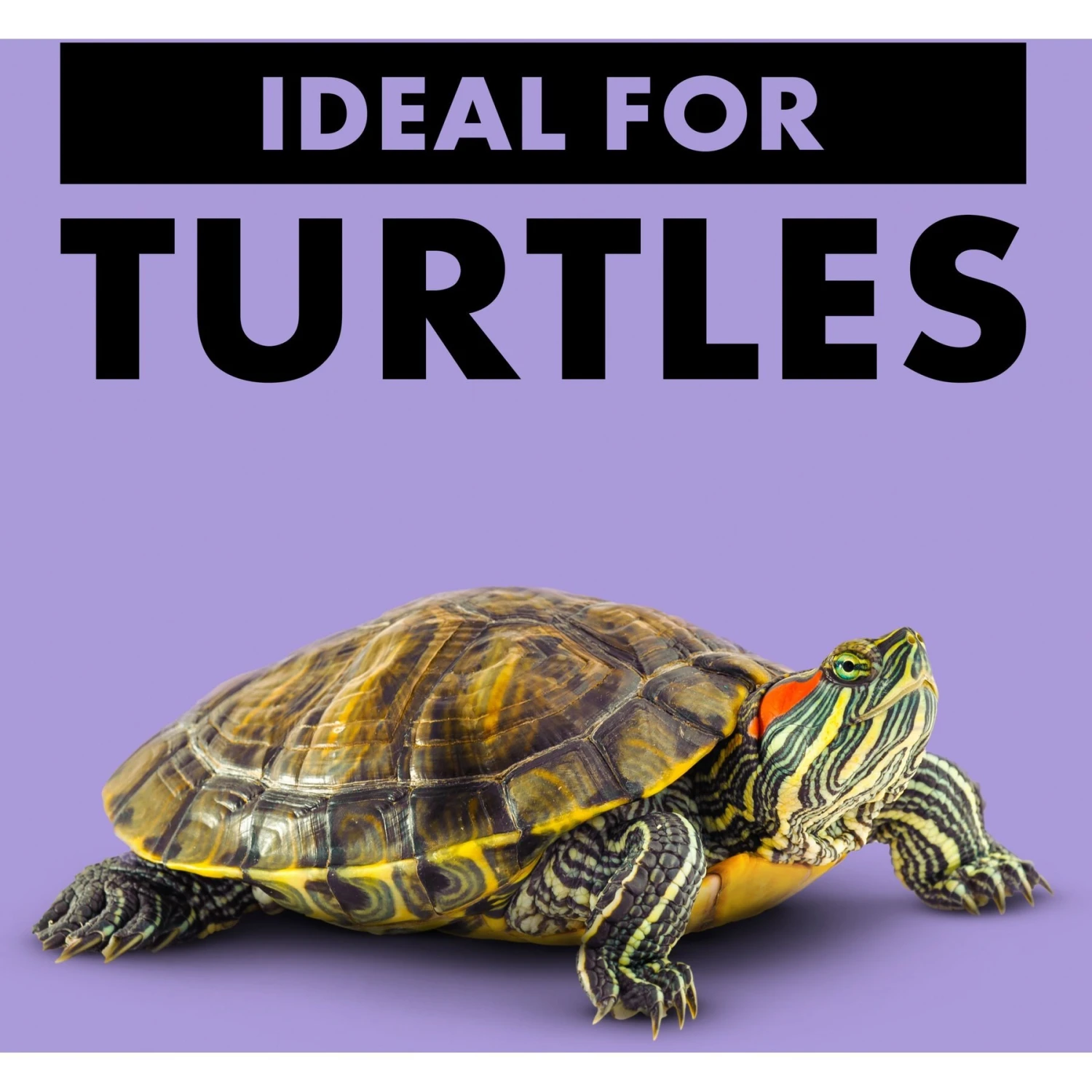 Zilla Reptile Munchies River Shrimp Turtle Food 4 Zilla Reptile Munchies River Shrimp Turtle Food - Image 4