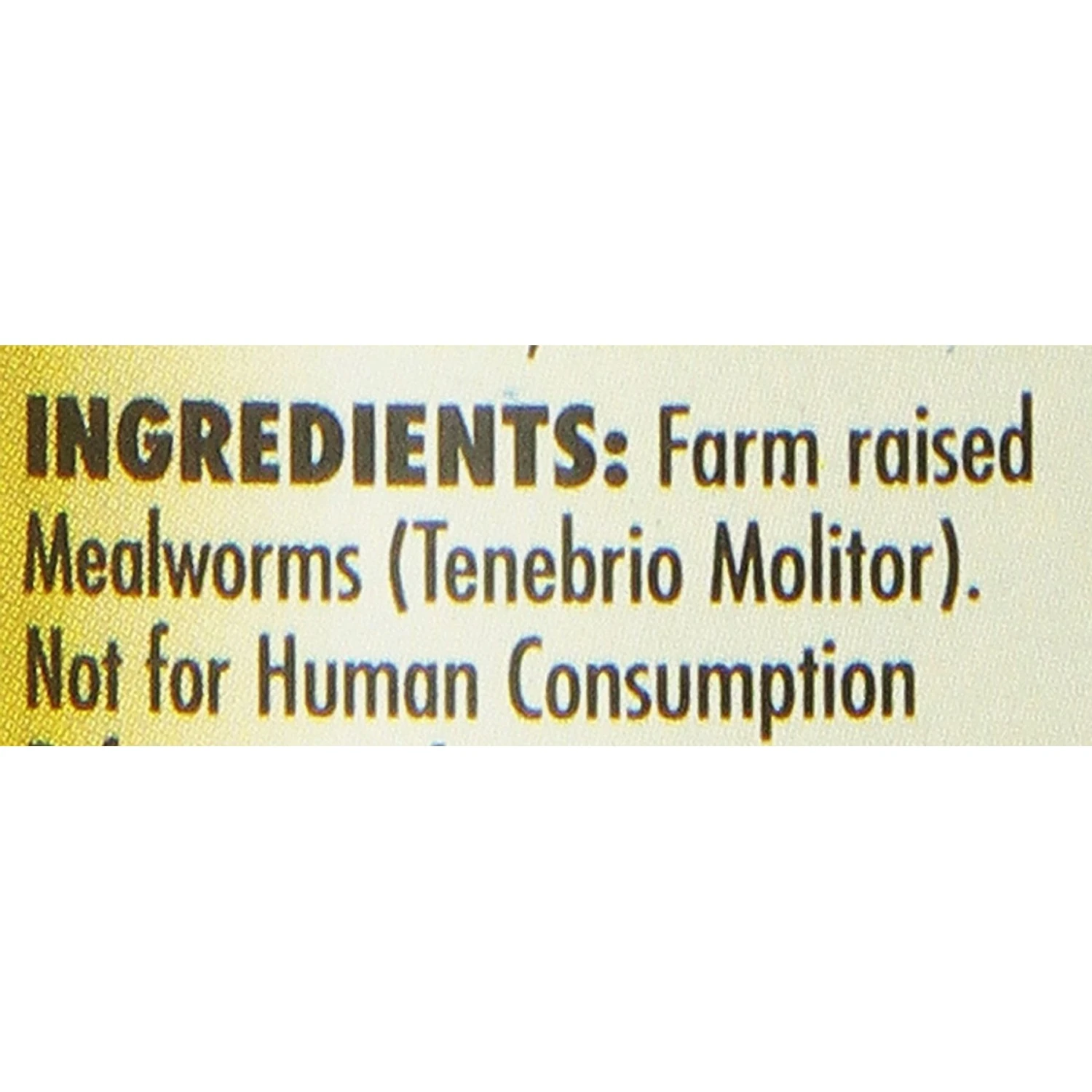 Zoo Med Can O' Worms Mealworms 3 Zoo Med Can O' Worms Mealworms - Image 3