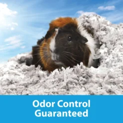 Kaytee Clean & Cozy Small Animal Bedding 11 Kaytee Clean & Cozy Small Animal Bedding -MiniMates Shop 98231 PT4. AC SS1800 V1618874831