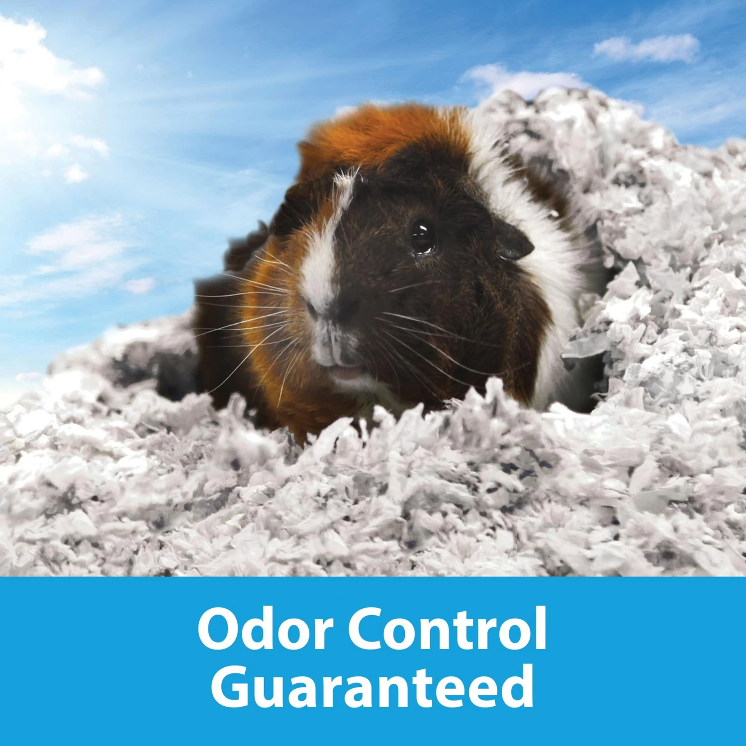 Kaytee Clean & Cozy Small Animal Bedding 5 Kaytee Clean & Cozy Small Animal Bedding - Image 5