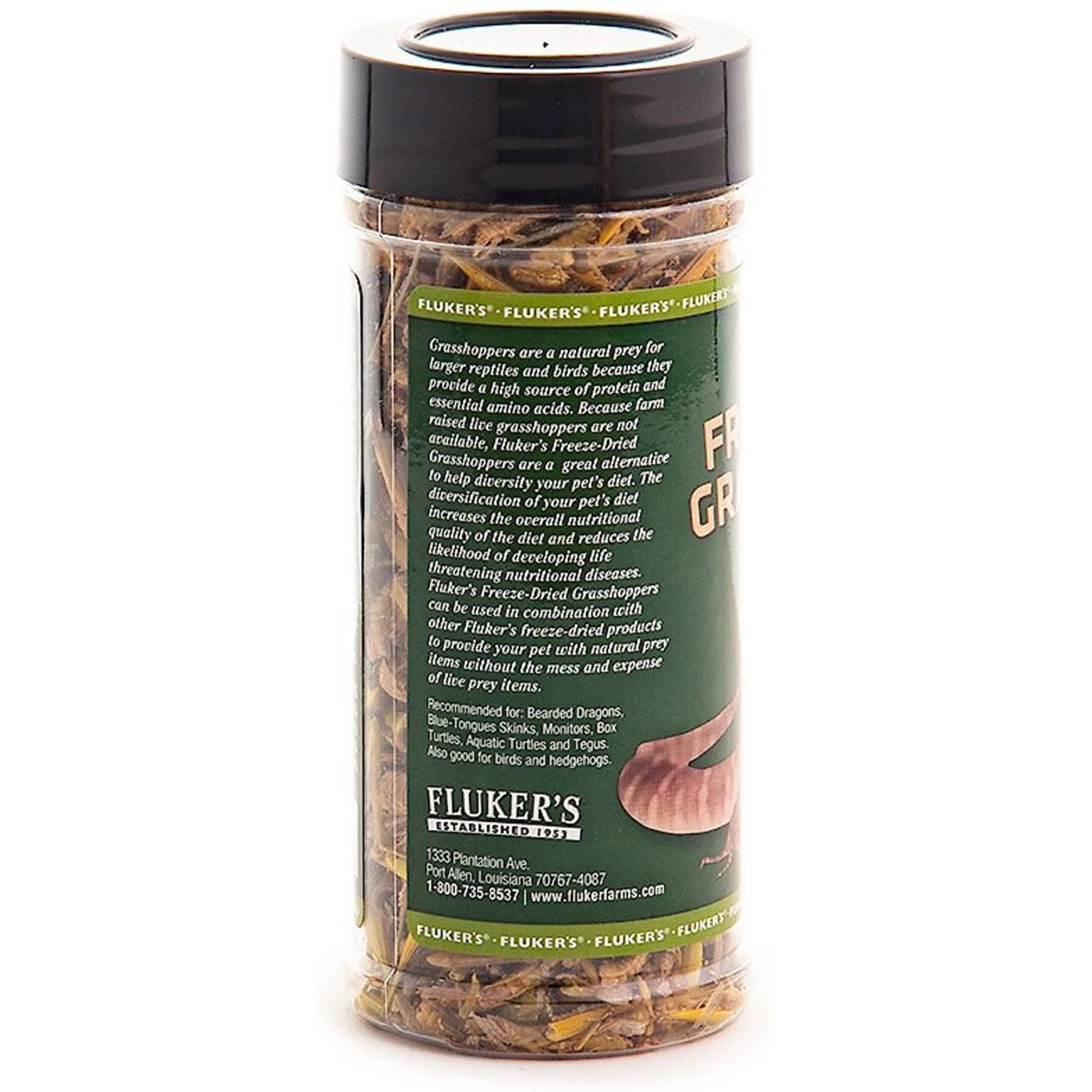 Fluker's Freeze-Dried Grasshoppers Reptile Treats 3 Fluker's Freeze-Dried Grasshoppers Reptile Treats - Image 3