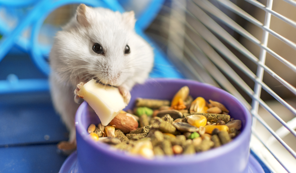 Front Page -MiniMates Shop banner3